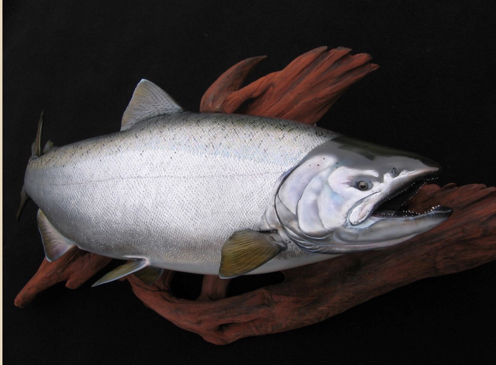 This image has an empty alt attribute; its file name is bw.jpg